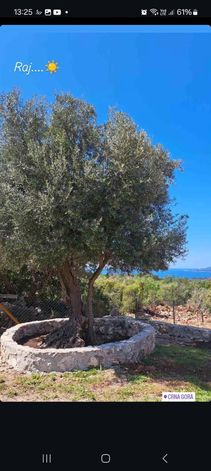 Ceranic Tivat * Kotor